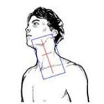 13 ixray_hws_schraeg